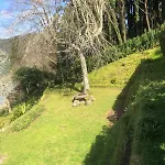Furnas Lake Cottage פורנס